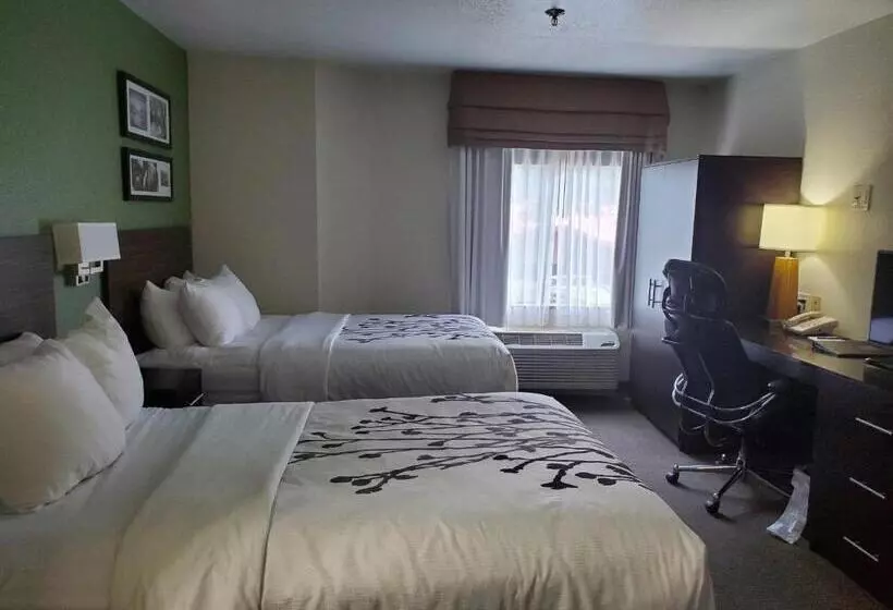 デラックスルーム, Sleep Inn Horn Lakesouthaven