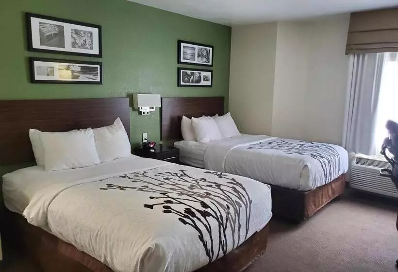 デラックスルーム, Sleep Inn Horn Lakesouthaven