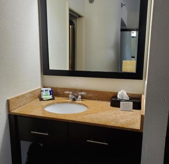 חדר דלוקס, Sleep Inn Horn Lakesouthaven