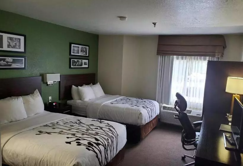 デラックスルーム, Sleep Inn Horn Lakesouthaven