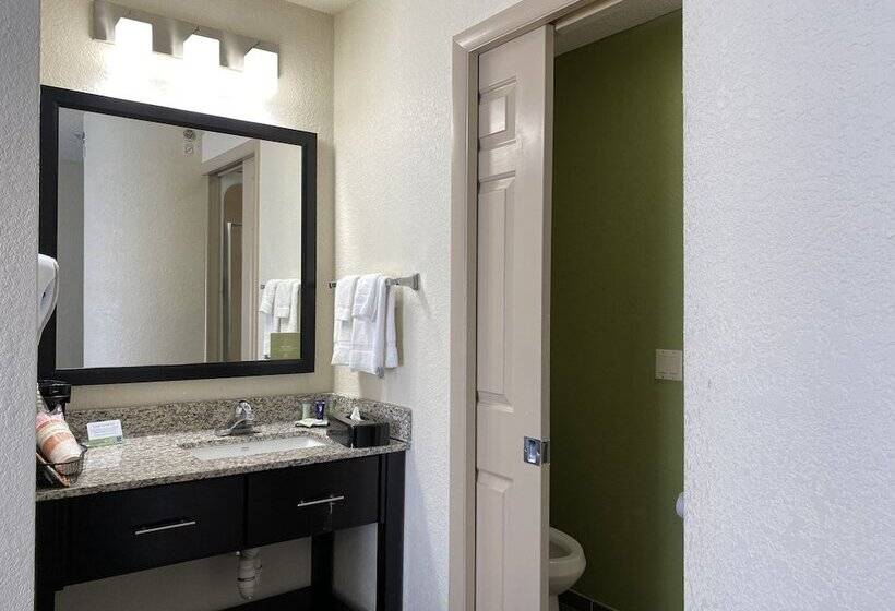 חדר סטנדרט שתי מיטות זוגיות, Sleep Inn Louisville Airport & Expo