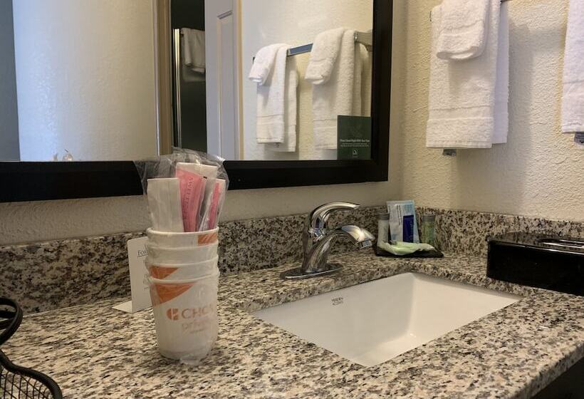 חדר סטנדרט שתי מיטות זוגיות, Sleep Inn Louisville Airport & Expo