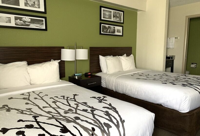 Номер Стандарт 2 Двуспальные Кровати, Sleep Inn Louisville Airport & Expo