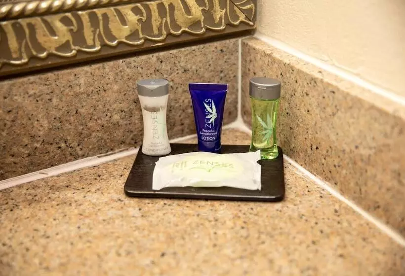 ２ダブルベッドのスタンダードルーム, Sleep Inn Savannah Gateway I95