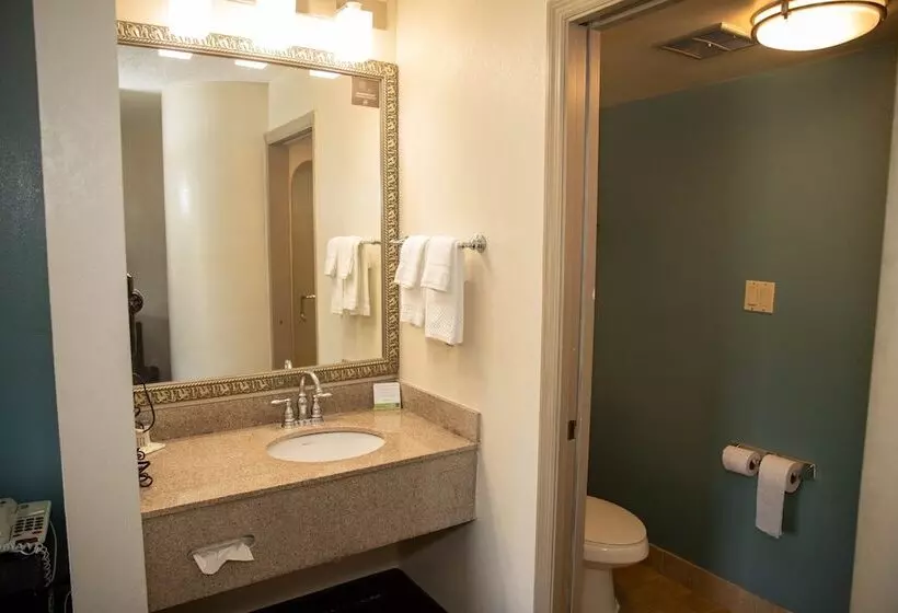 ２ダブルベッドのスタンダードルーム, Sleep Inn Savannah Gateway I95