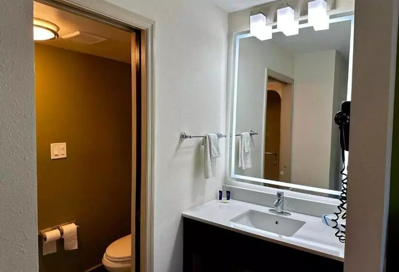 ２ダブルベッドのスタンダードルーム, Sleep Inn Savannah Gateway I95