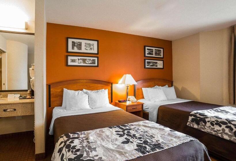 غرفة قياسية, Sleep Inn South Jordansandy