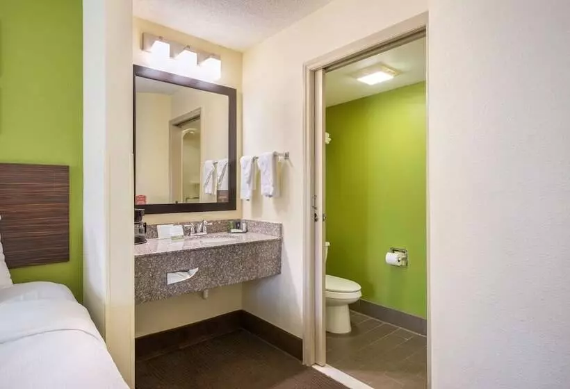 ２ダブルベッドのスタンダードルーム, Sleep Inn Statesville I 40