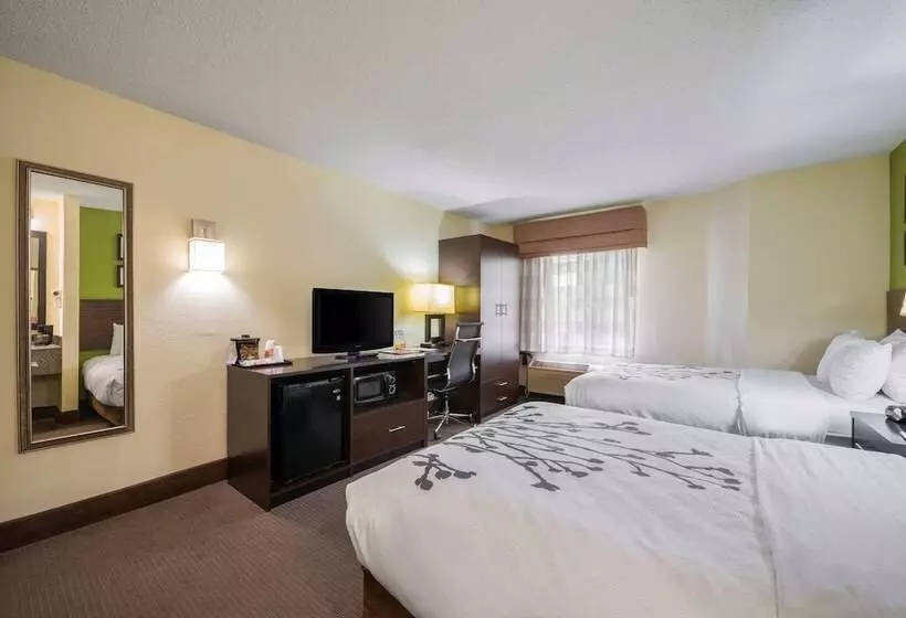 ２ダブルベッドのスタンダードルーム, Sleep Inn Statesville I 40