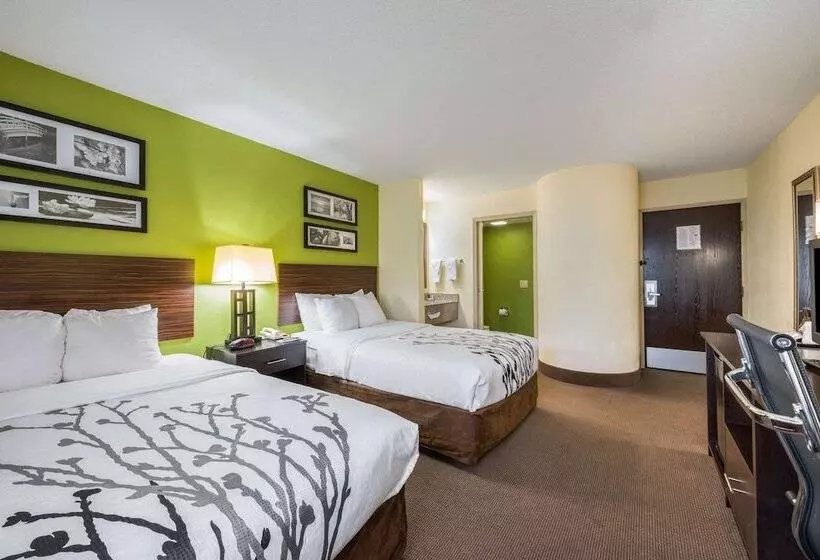 ２ダブルベッドのスタンダードルーム, Sleep Inn Statesville I 40