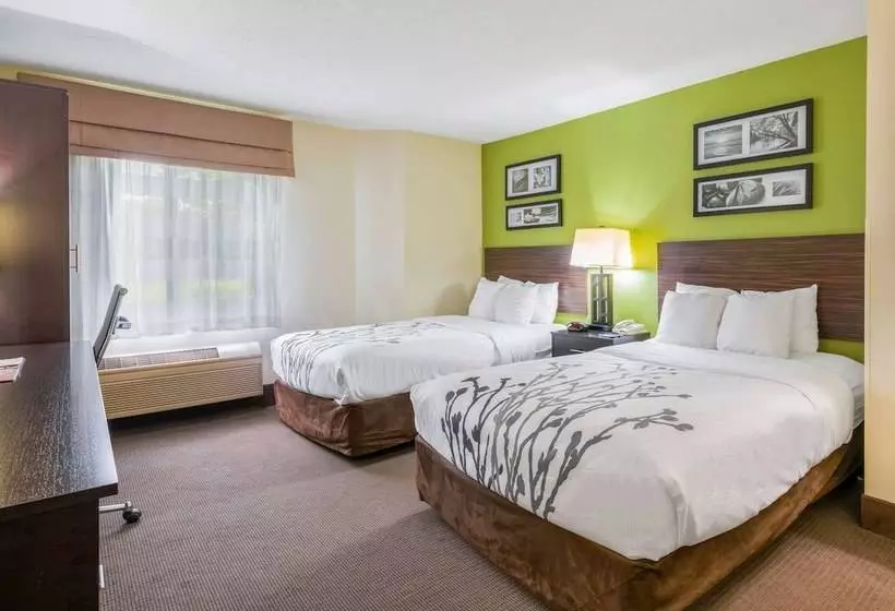 ２ダブルベッドのスタンダードルーム, Sleep Inn Statesville I 40