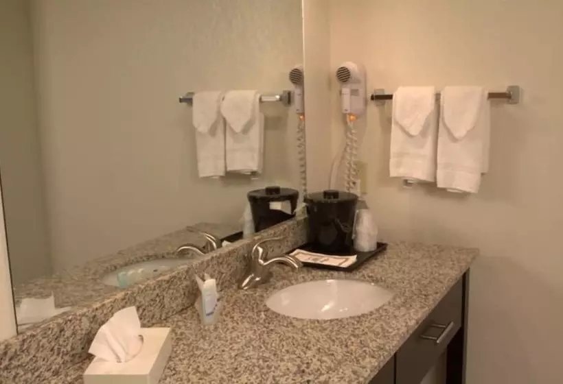 スイート, Sleep Inn & Suites Buffalo Airport
