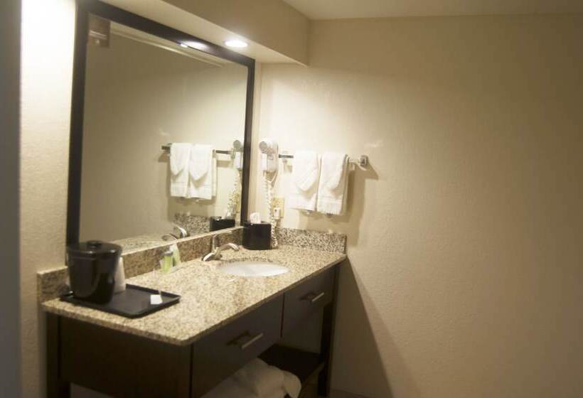 套房, Sleep Inn & Suites Buffalo Airport