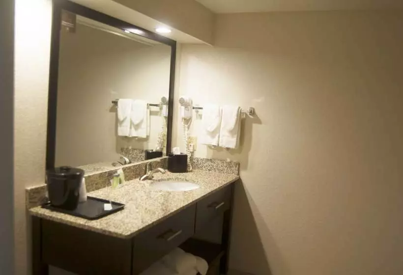 スイート, Sleep Inn & Suites Buffalo Airport