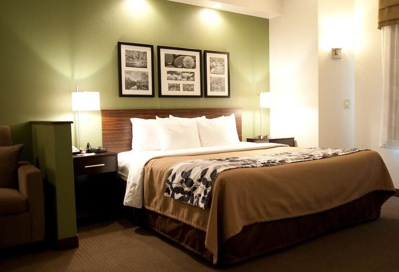 Люкс, Sleep Inn & Suites Buffalo Airport