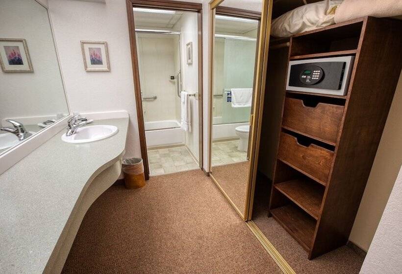 جناح ديلوكس سرير كينج, Sophie Station Suites