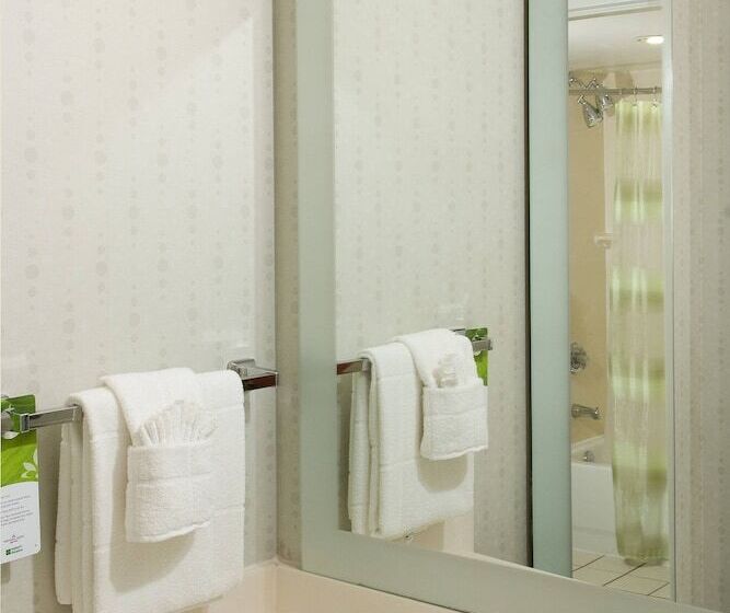 スイート, Springhill Suites By Marriott Orlando Convention Center