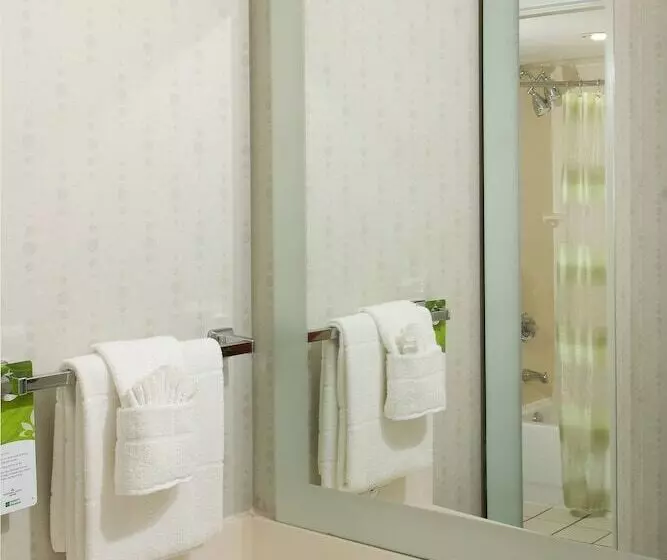 スイート, Springhill Suites By Marriott Orlando Convention Center