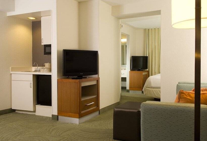 Люкс, Springhill Suites By Marriott Orlando Convention Center