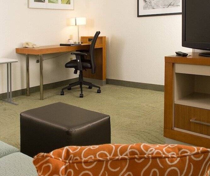 スイート, Springhill Suites By Marriott Orlando Convention Center
