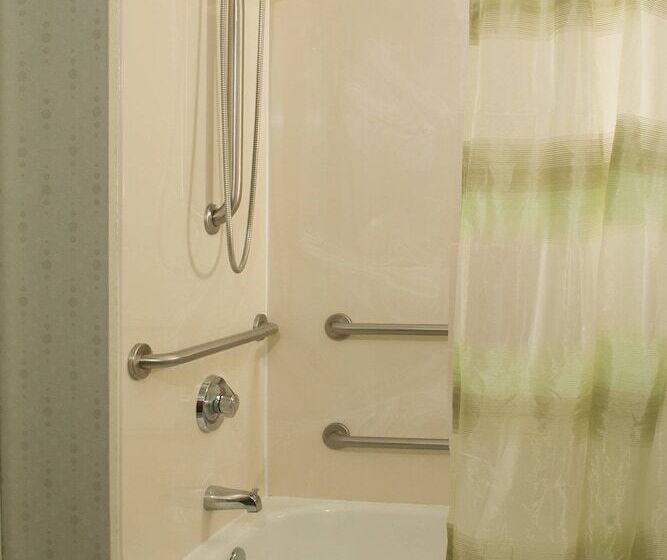 スイート, Springhill Suites By Marriott Orlando Convention Center