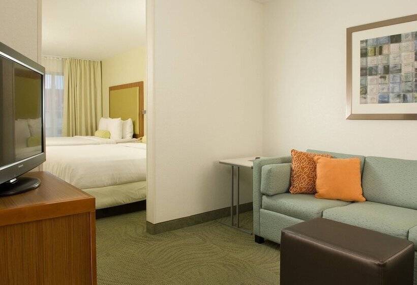 スイート, Springhill Suites By Marriott Orlando Convention Center