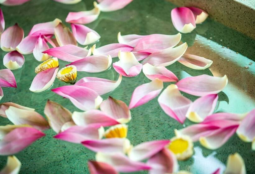 جناح ديلوكس, Golden Temple Boutique