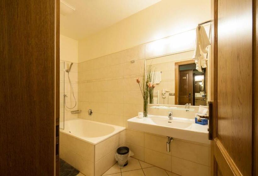 شقة غرفة واحدة, Mario