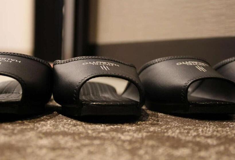 חדר סטנדרט, Halrotto Fukuoka Hakata