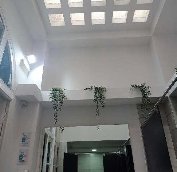 Cama em Quarto Compartilhado, Planeta Cadiz Hostel