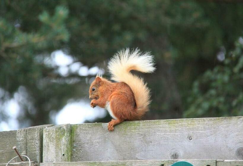 스탠다드 룸, Cranford Guest House