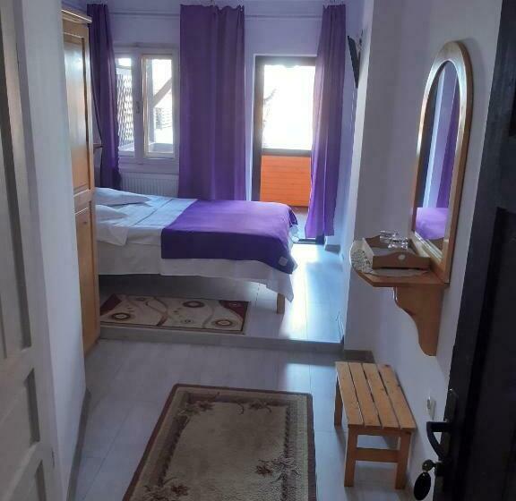 バルコニー付きデラックスルーム, Vila Szoke Sovata