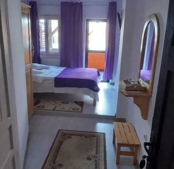 Deluxe Kamer met Balkon, Vila Szoke Sovata