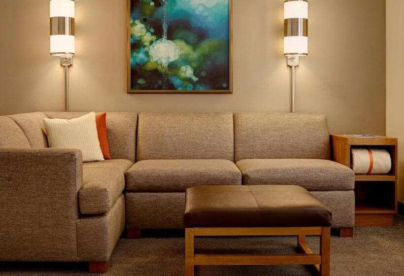 Номер Стандарт Адаптированный для Инвалидов, Hyatt Place San Antonio Riverwalk