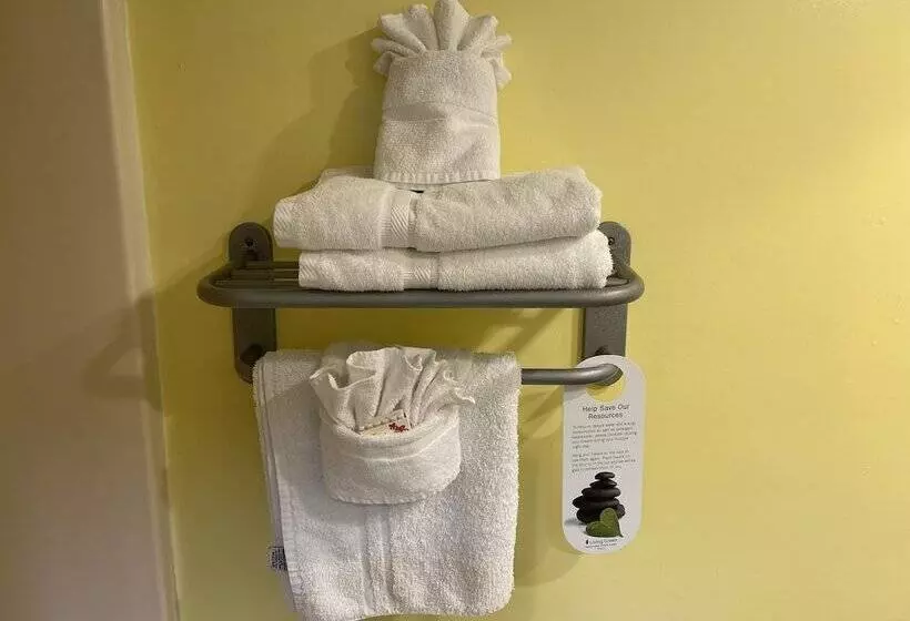 デラックスルーム, Motel 6 Kingsland Kings Bay Naval