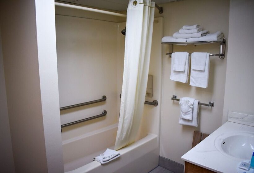 장애인을 위한 스탠다드 룸, Super 8 By Wyndham Branson Andy Williams Theater