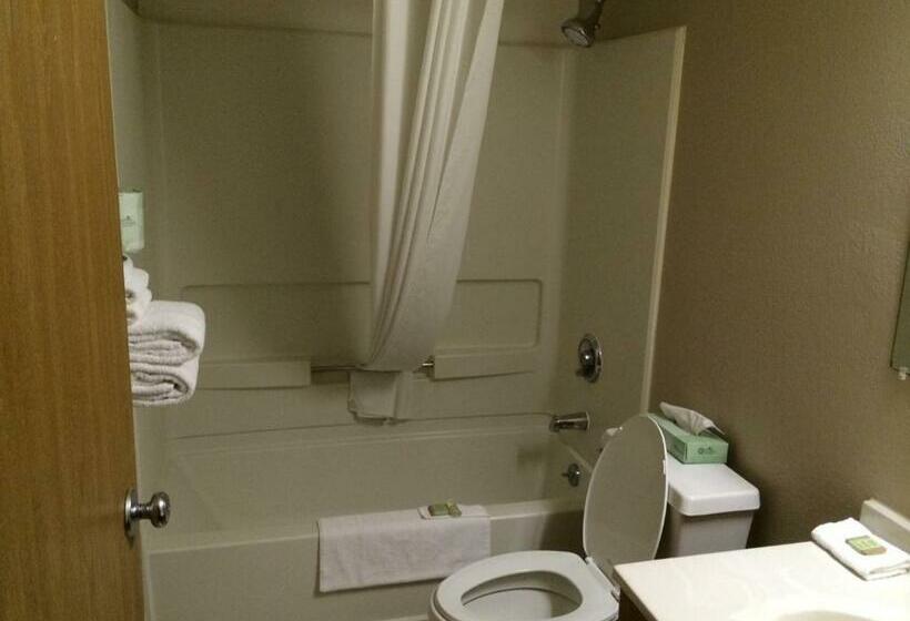 스탠다드 룸, Super 8 By Wyndham Knoxville