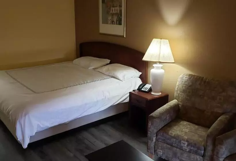 Standard-huone King-vuode, West Texas Inn & Suites Midland