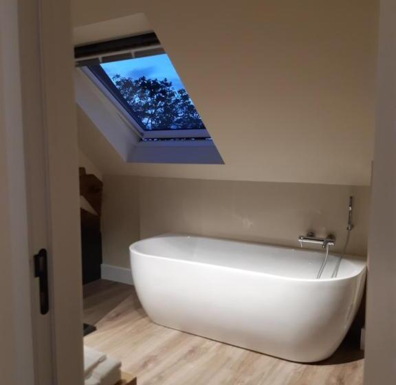 高级大房间, B&b Langeveldemolen