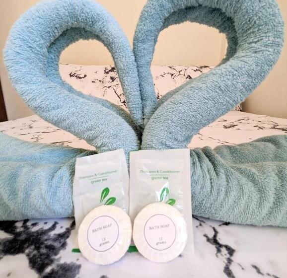 اتاق اکونومی, Charlina Inn Panglao