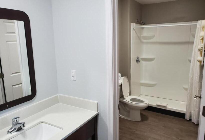 غرفة قياسية لذوى الاحتياجات الخاصة, Motel 6show Low, Az