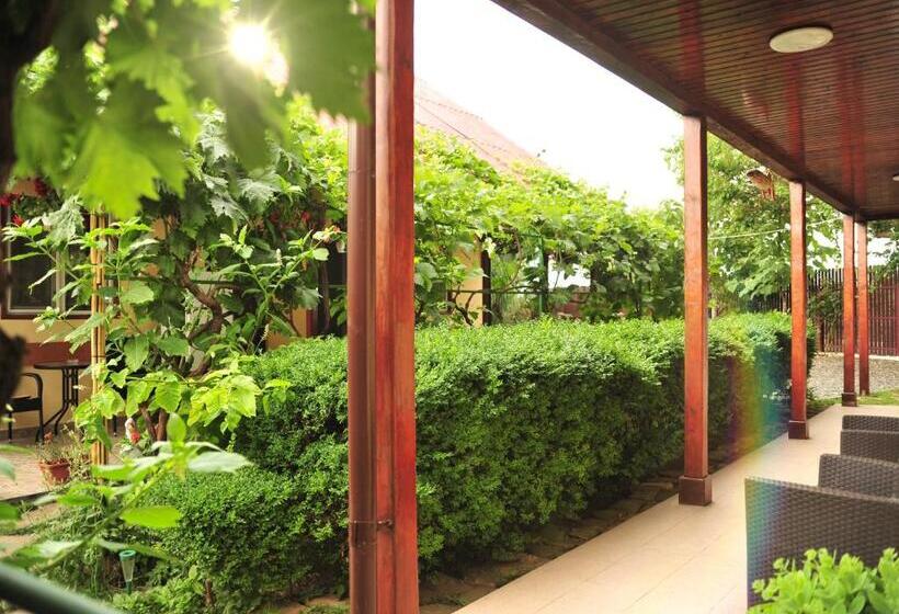 Номер Стандарт, Casa Boby