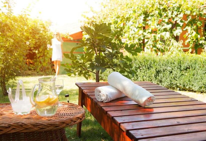 Номер Стандарт, Casa Boby