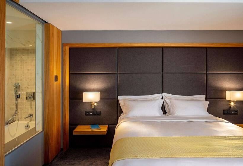 标准间, Mount Athos Resort