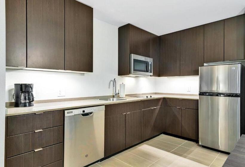 استودیو استاندارد با تخت کینگ, Residence Inn By Marriott Corpus Christi Downtown