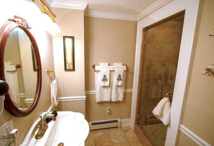 带城市景观的标准间, Phineas Swann Inn & Spa