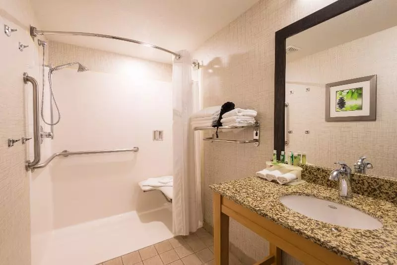 キングサイズベッドのスタンダードルーム, Holiday Inn Express & Suites Wheat Ridge Denver West, An Ihg