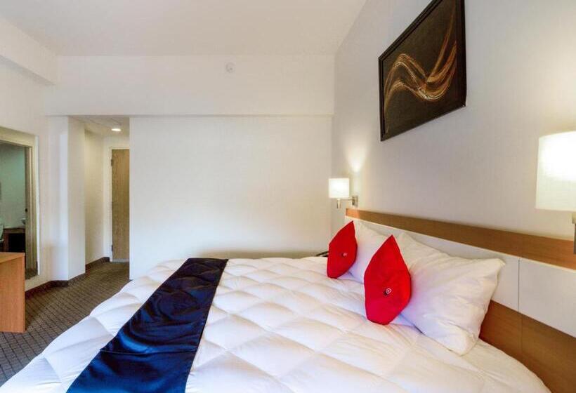 חדר סופריור, Los Herederos Hotel Piedras Negras