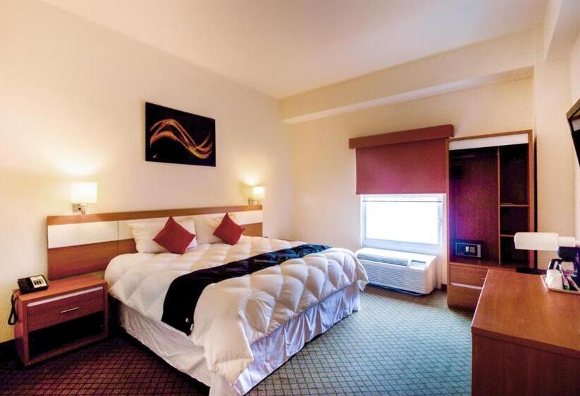 חדר סופריור, Los Herederos Hotel Piedras Negras