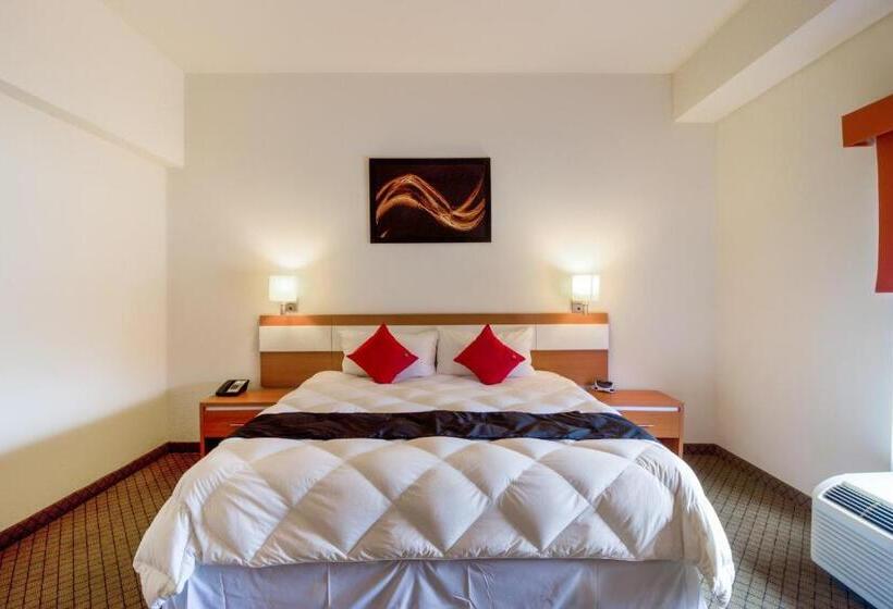 חדר סופריור, Los Herederos Hotel Piedras Negras